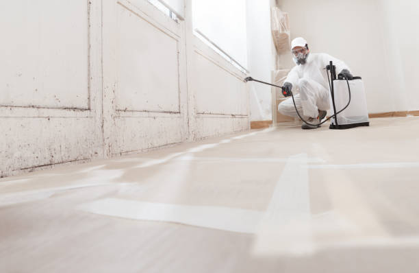 24/7 Emergency Mold Remediation experts in Willow Spring, NC